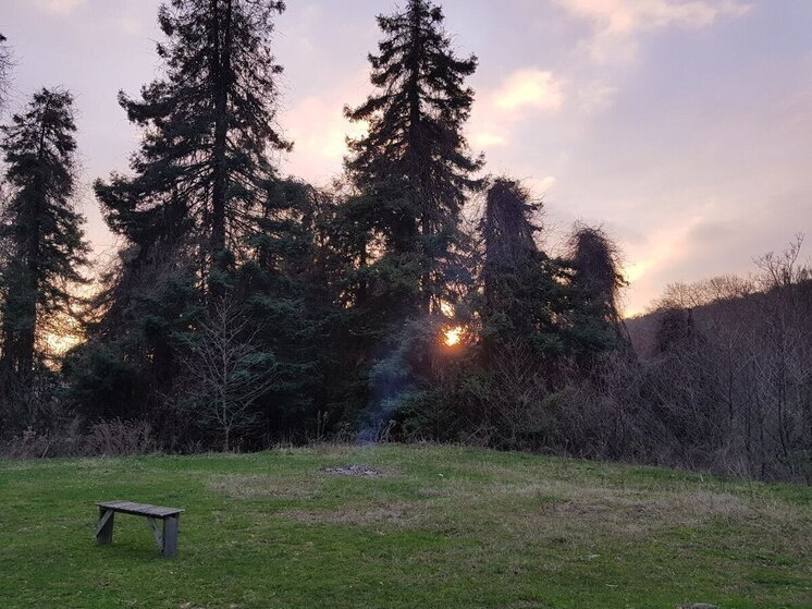 Сочи назвали лидером по бронированиям на День Святого Валентина среди регионов России