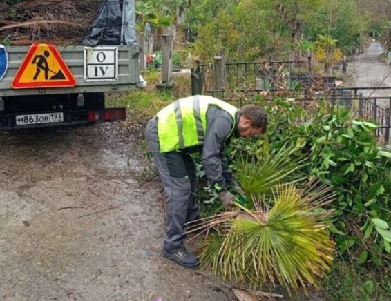 В центре Сочи проводят уборку и санитарную обрезку деревьев