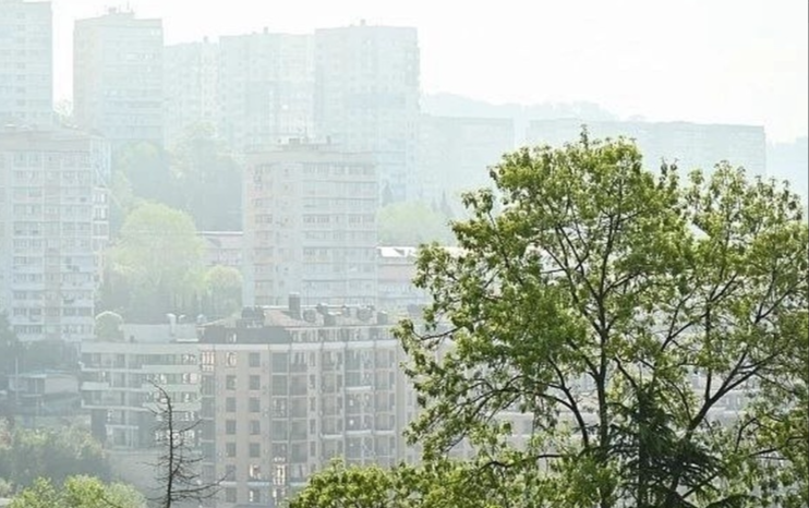В Сочи прогнозируется туман 7 апреля