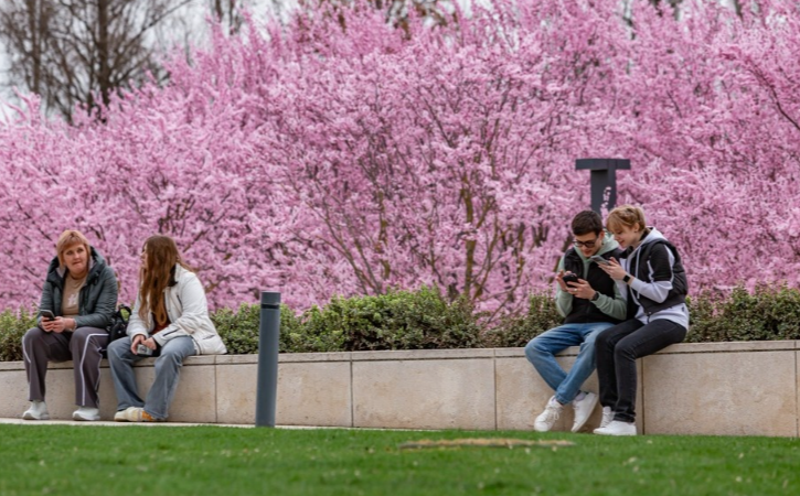 Названа стоимость отдыха в апартаментах Краснодара и Сочи в апреле 2026 года