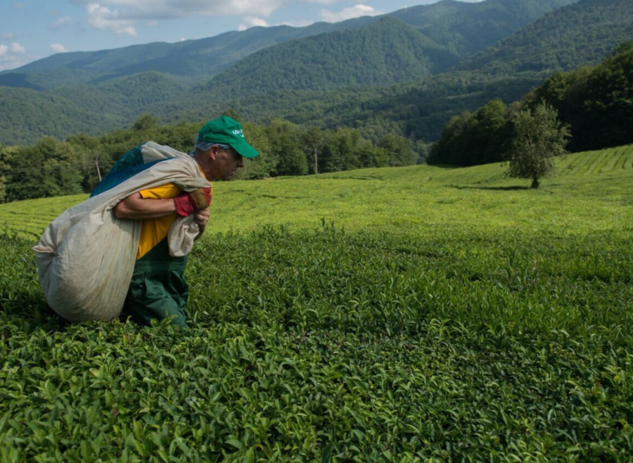 В Сочи открылся построенный с нуля футуристичный санаторий